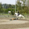 Babie Lato 2016